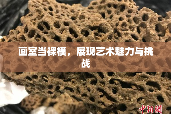 画室当裸模，展现艺术魅力与挑战