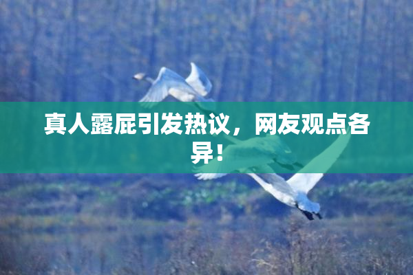 真人露屁引发热议，网友观点各异！