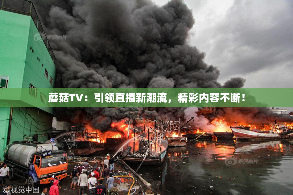 蘑菇TV：引领直播新潮流，精彩内容不断！