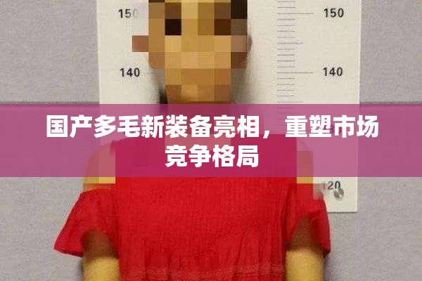 国产多毛新装备亮相，重塑市场竞争格局