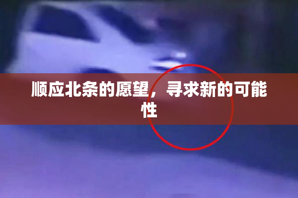 顺应北条的愿望，寻求新的可能性