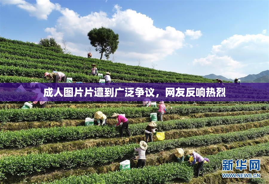 成人图片片遭到广泛争议，网友反响热烈