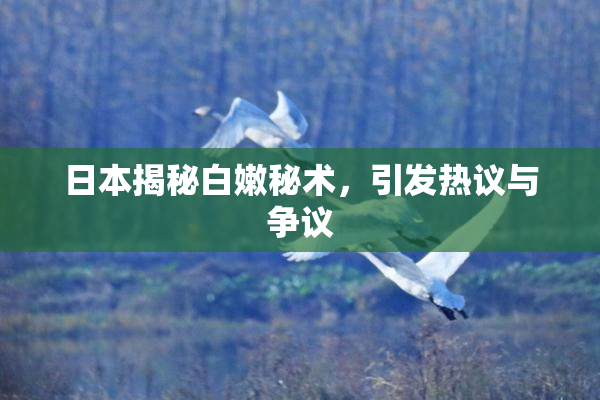 日本揭秘白嫩秘术，引发热议与争议