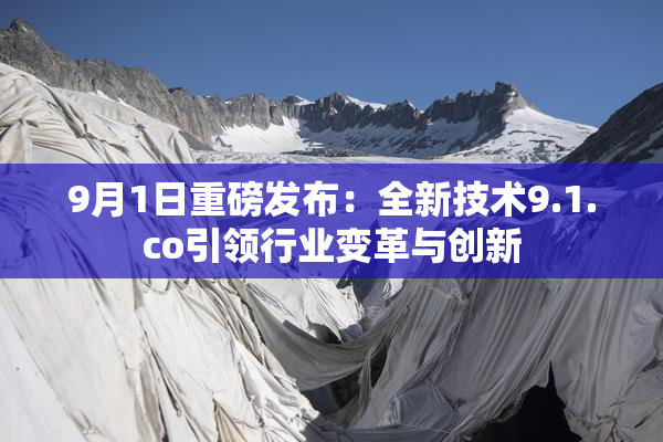 9月1日重磅发布：全新技术9.1.co引领行业变革与创新