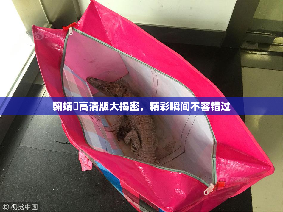 鞠婧祎高清版大揭密，精彩瞬间不容错过