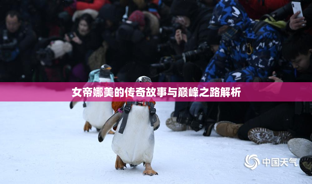 女帝娜美的传奇故事与巅峰之路解析