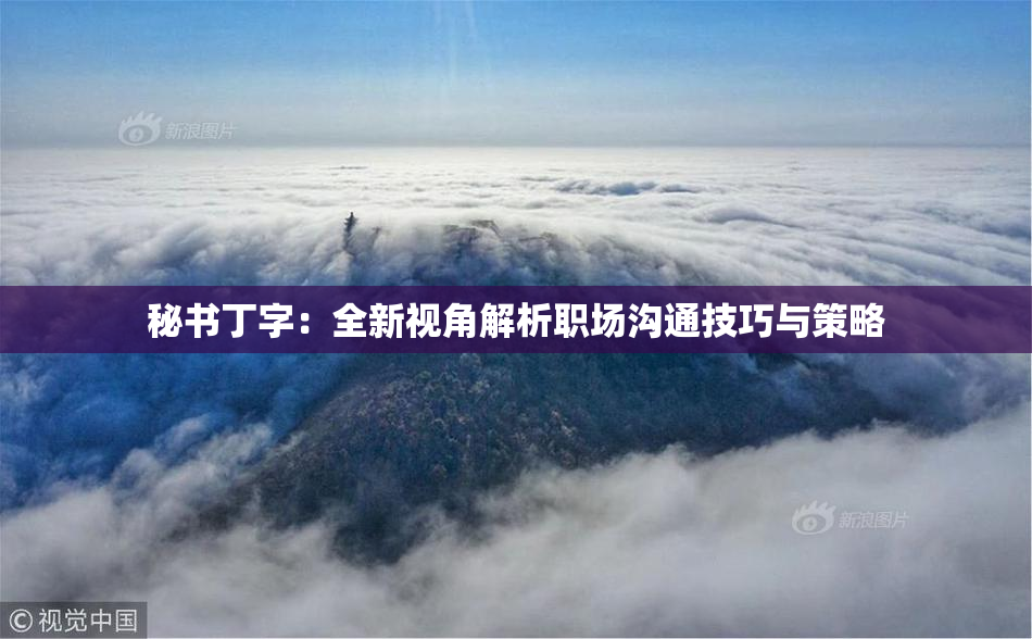 秘书丁字：全新视角解析职场沟通技巧与策略