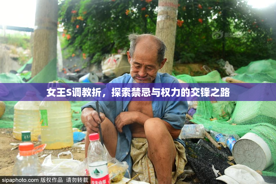 女王S调教折，探索禁忌与权力的交锋之路