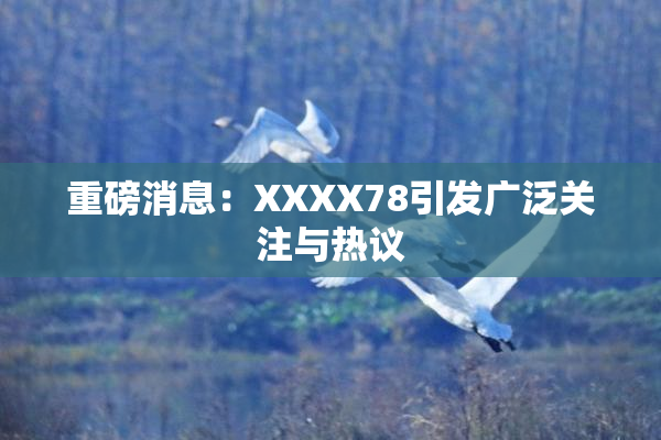 重磅消息：XXXX78引发广泛关注与热议