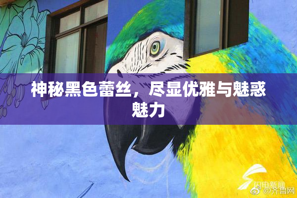 神秘黑色蕾丝，尽显优雅与魅惑魅力