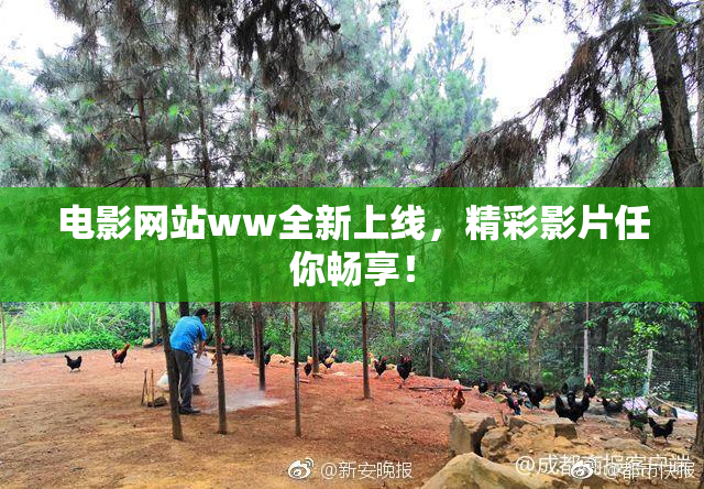 电影网站ww全新上线，精彩影片任你畅享！