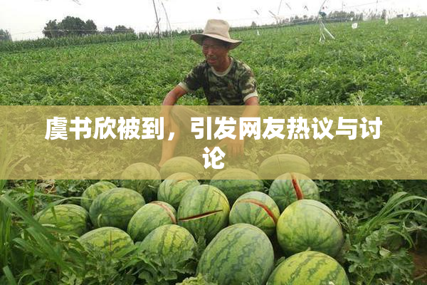 虞书欣被到，引发网友热议与讨论