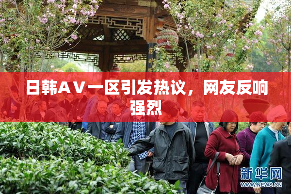 日韩AⅤ一区引发热议，网友反响强烈