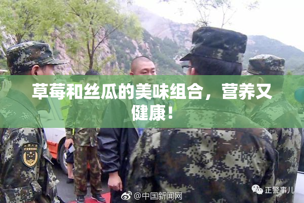 草莓和丝瓜的美味组合，营养又健康！