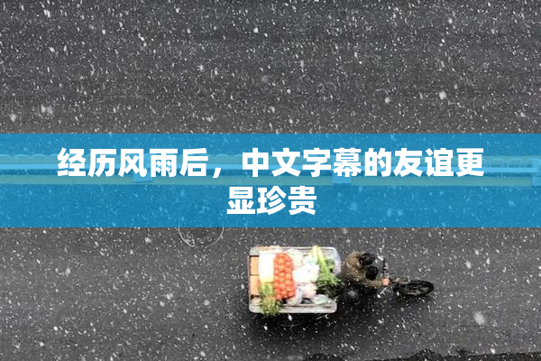 经历风雨后，中文字幕的友谊更显珍贵