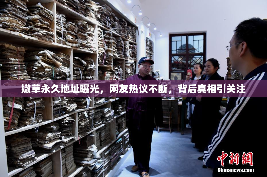 嫩草永久地址曝光，网友热议不断，背后真相引关注