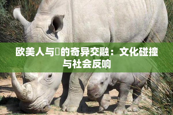 欧美人与嘼的奇异交融：文化碰撞与社会反响