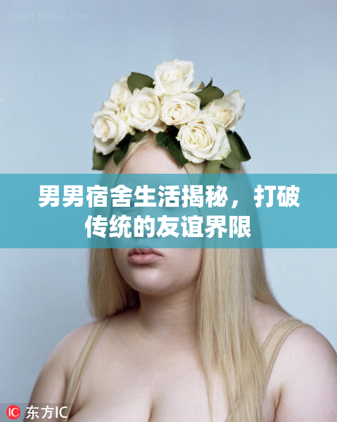 男男宿舍生活揭秘，打破传统的友谊界限