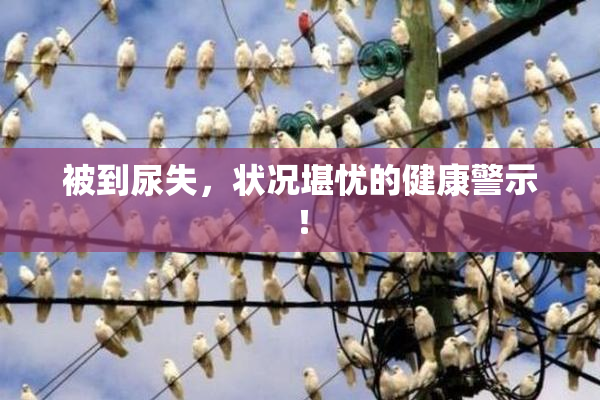 被到尿失，状况堪忧的健康警示！