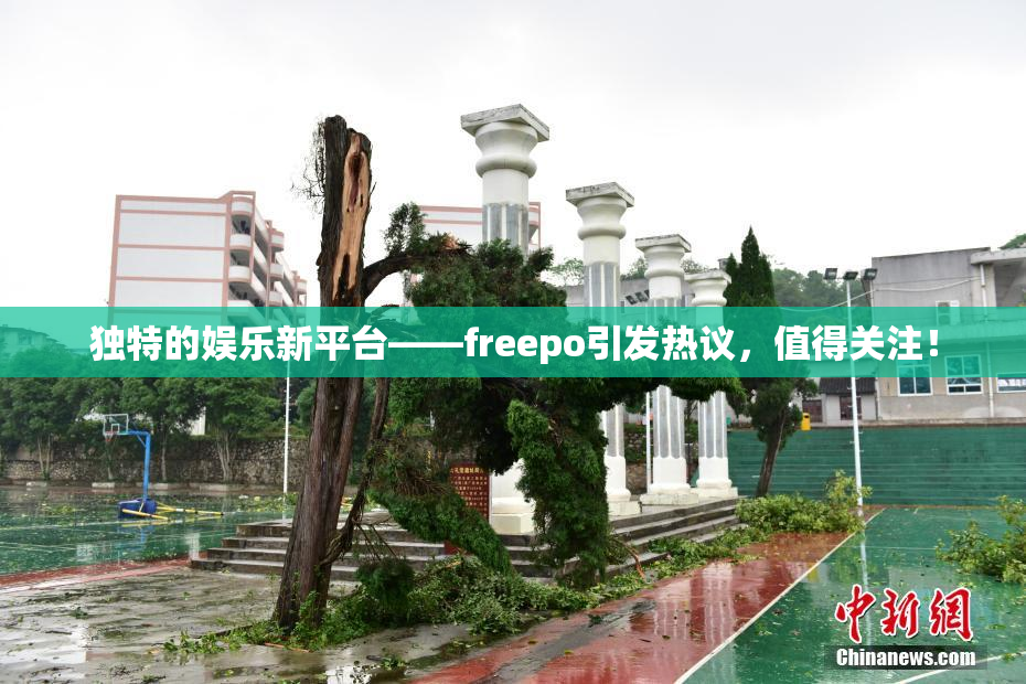独特的娱乐新平台——freepo引发热议，值得关注！