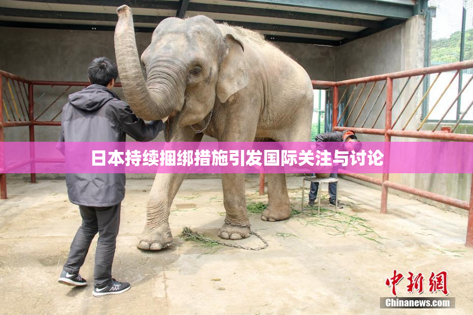 日本持续捆绑措施引发国际关注与讨论
