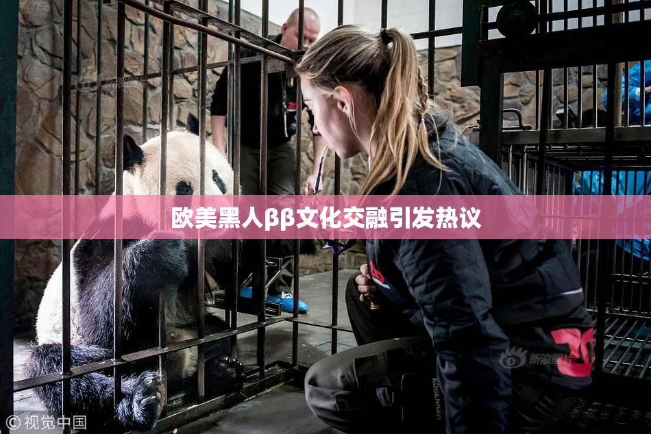 欧美黑人ββ文化交融引发热议