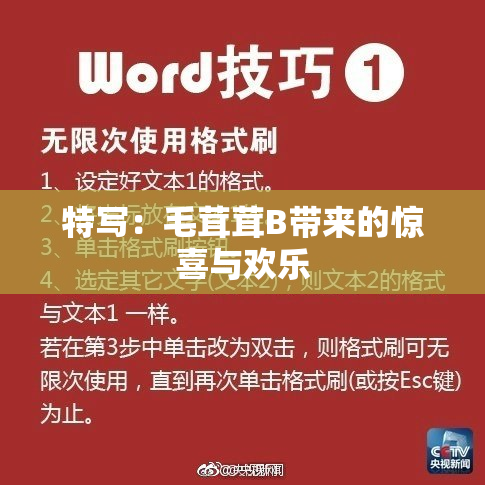 特写：毛茸茸B带来的惊喜与欢乐