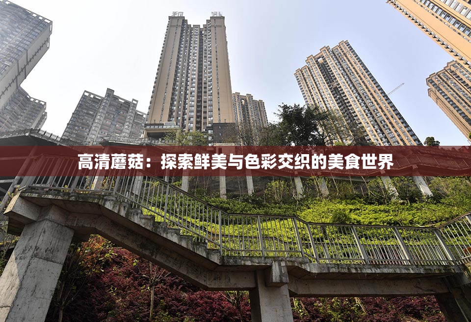 高清蘑菇：探索鲜美与色彩交织的美食世界