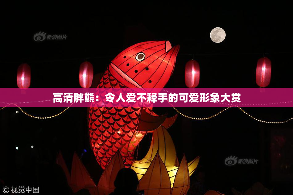 高清胖熊：令人爱不释手的可爱形象大赏