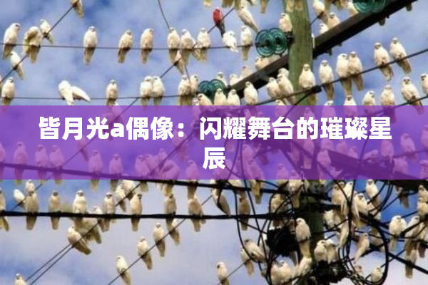 皆月光a偶像：闪耀舞台的璀璨星辰