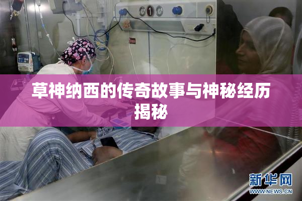 草神纳西的传奇故事与神秘经历揭秘
