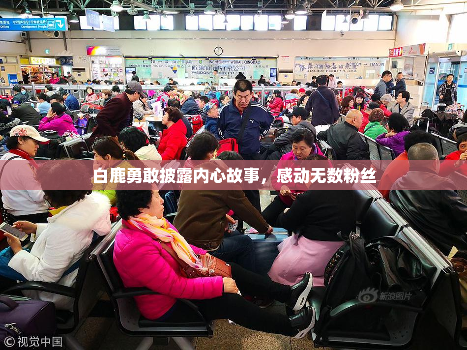 白鹿勇敢披露内心故事，感动无数粉丝