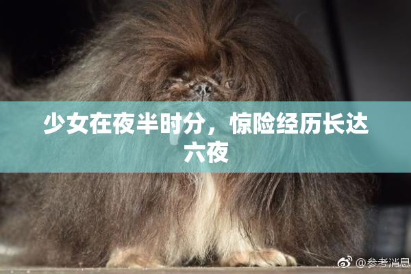 少女在夜半时分，惊险经历长达六夜