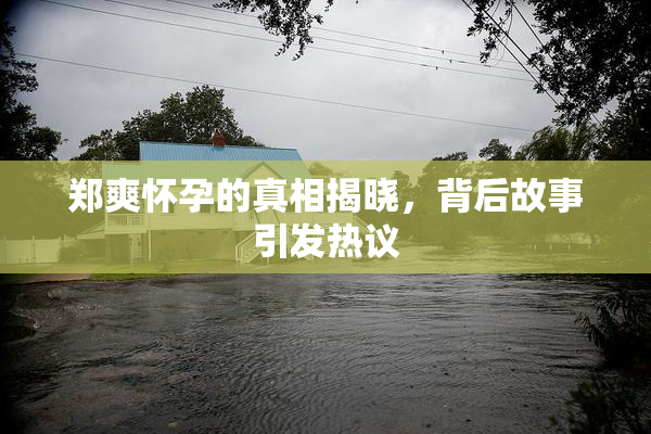 郑爽怀孕的真相揭晓，背后故事引发热议
