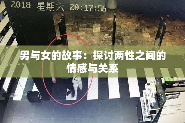 男与女的故事：探讨两性之间的情感与关系