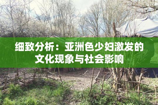 细致分析：亚洲色少妇激发的文化现象与社会影响