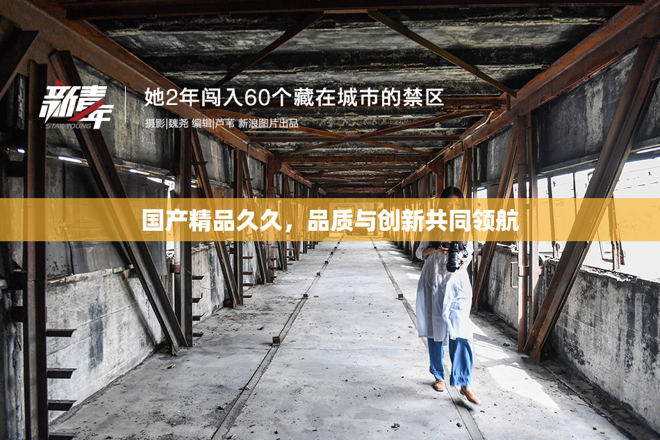 国产精品久久，品质与创新共同领航