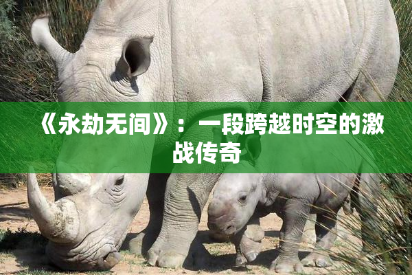 《永劫无间》：一段跨越时空的激战传奇