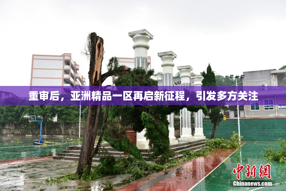 重审后，亚洲精品一区再启新征程，引发多方关注