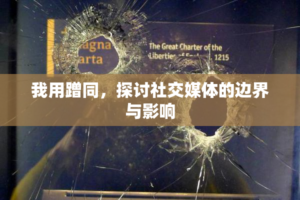 我用蹭同，探讨社交媒体的边界与影响