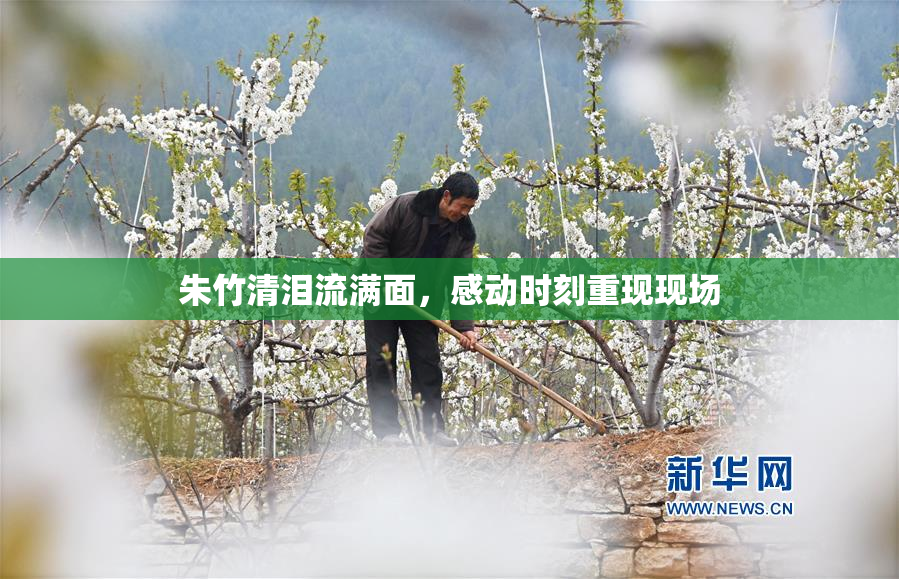 朱竹清泪流满面，感动时刻重现现场