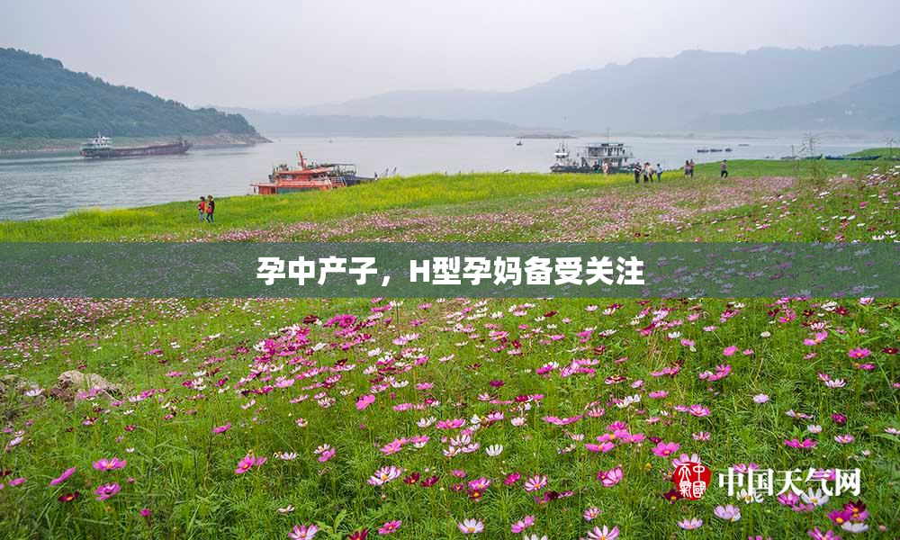 孕中产子，H型孕妈备受关注