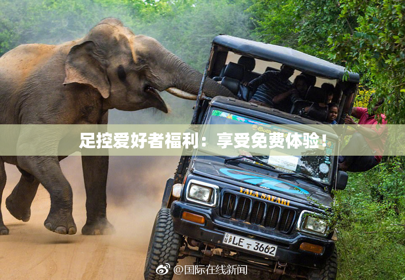 足控爱好者福利：享受免费体验！