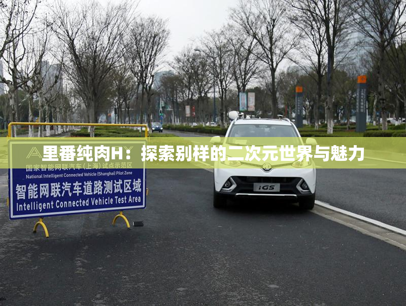 里番纯肉H：探索别样的二次元世界与魅力