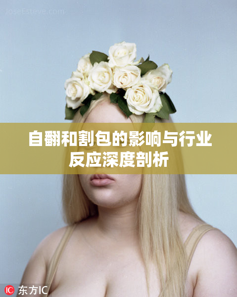 自翻和割包的影响与行业反应深度剖析