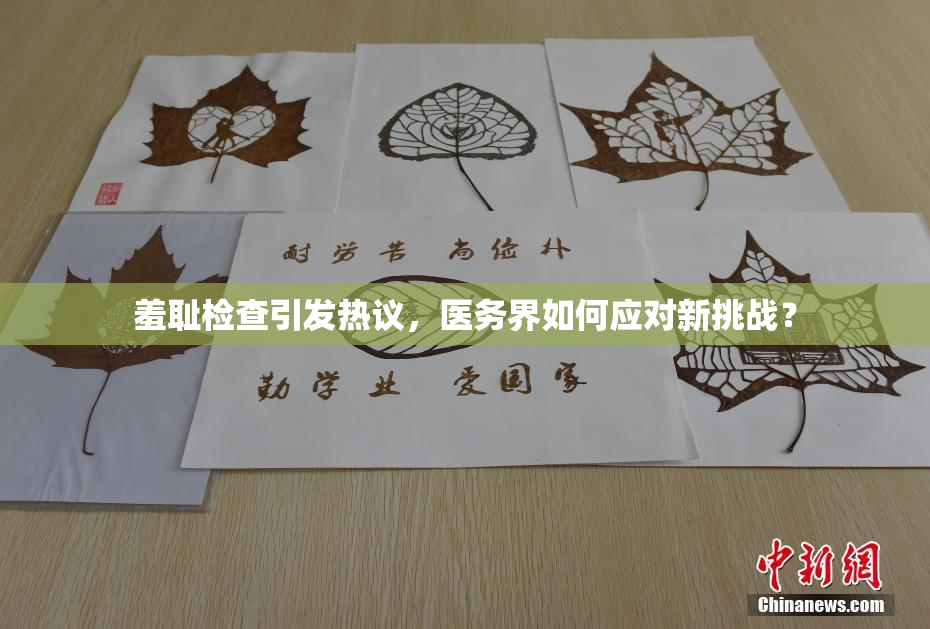 羞耻检查引发热议，医务界如何应对新挑战？