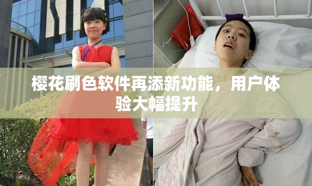 樱花刷色软件再添新功能，用户体验大幅提升