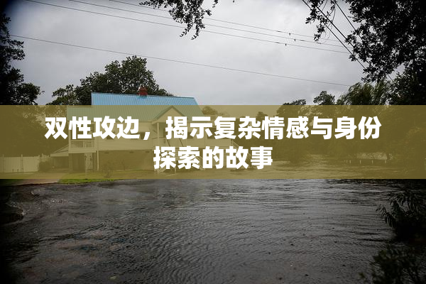双性攻边，揭示复杂情感与身份探索的故事