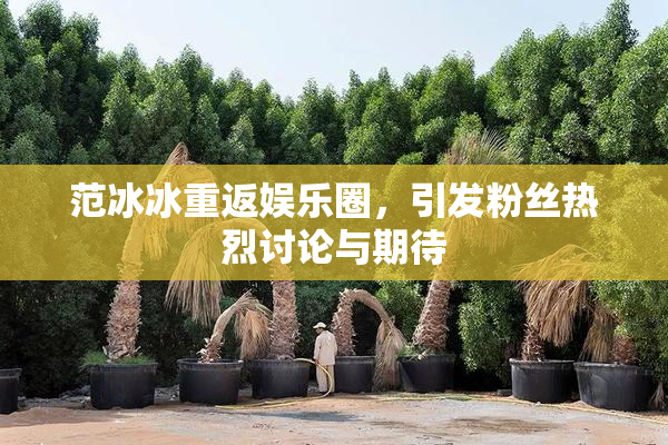 范冰冰重返娱乐圈，引发粉丝热烈讨论与期待