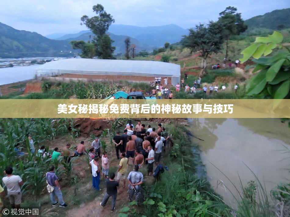 美女秘揭秘免费背后的神秘故事与技巧